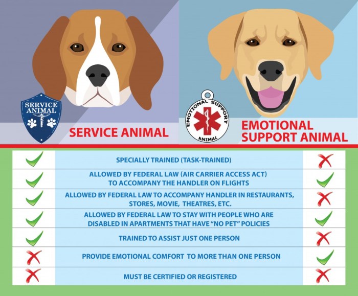 Dogs emotional support dog should know service